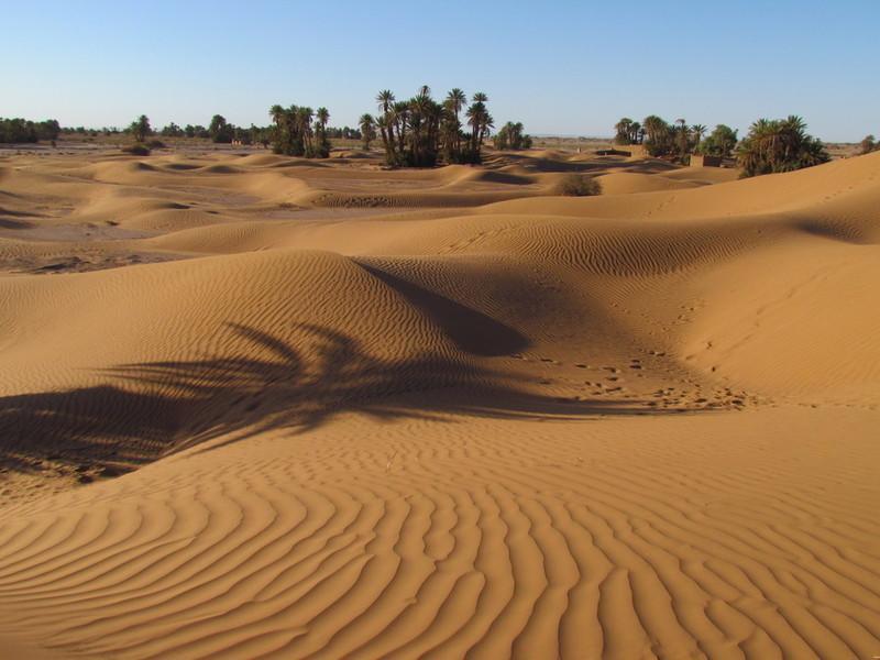 Riad La Maison Du Desert Oulad Driss Eksteriør bilde